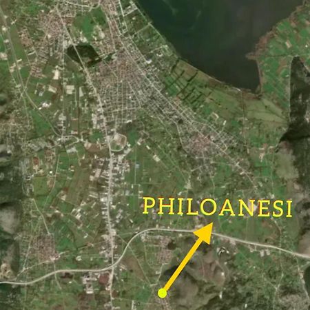 Philoanesi Apartment Neokesaria Ngoại thất bức ảnh